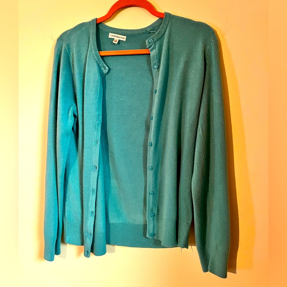 Blue Cardigan